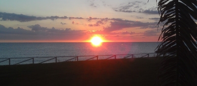 Comunicato stampa Movimento 