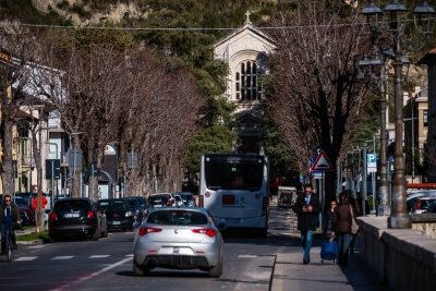 Rigenerazione attiva del verde in Viale Vellei, incontro aperto alla cittadinanza giovedì 13 febbraio dalle ore 17:30