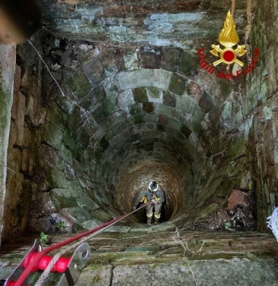 Cane precipita in un pozzo profondo 15 metri, salvato dai soccorsi