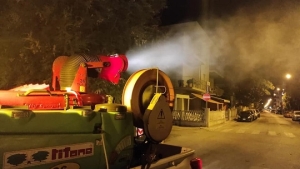 Nuovi trattamenti contro gli insetti alati