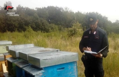 Forestali sanzionano tre apicoltori per uso improprio medicinali