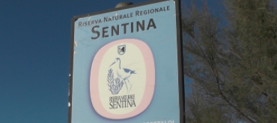 LA REGIONE MARCHE APPROVA IL PROGRAMMA QUINQUENNALE PER LE AREE PROTETTE 2026-2030