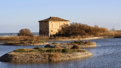 Nuovo appuntamento con le visite guidate alla Riserva Sentina