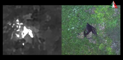 Castorano: due cavalle fuggite dal recinto finiscono nella fitta vegetazione, salvate dal Vigili del Fuoco guidati dal drone del NOA