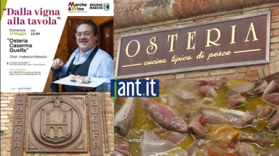 Intervista allo chef Federico Palestini