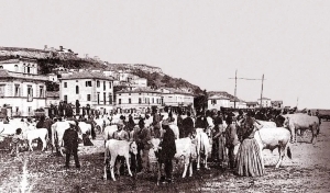 Un&rsquo;antologia per la Fiera di San Martino