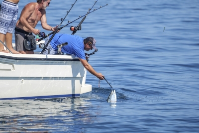 Tutto pronto per il Trofeo Catari al CNS