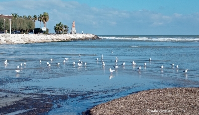 Arpa Marche, 'il 96% delle acque balneabili è eccellente