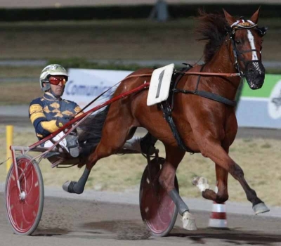 Tutto pronto per l’edizione 2024 del Palio dei Comuni