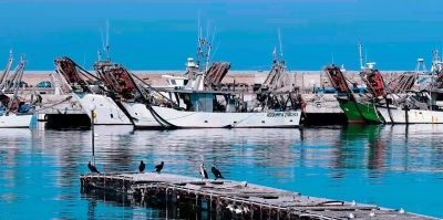 Si getta in acqua al porto di San Benedetto, salvata una ragazza
