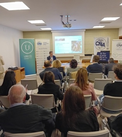 Formazione, bandi e opportunità per le imprese: successo per il seminario CNA a San Benedetto