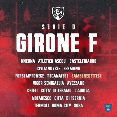 La Lega Nazionale Dilettanti ha ufficializzato i gironi della Serie D 2024/25
