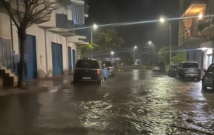 Ennesima bomba d'acqua su San Benedetto, un albero cade sopra un'auto