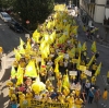 Coldiretti Marche, cinghiali: "Bene prime misure post manifestazione ma non basta"