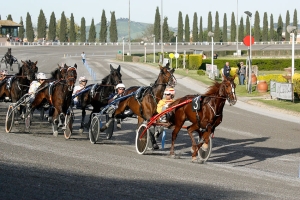 Al &ldquo;San Paolo&rdquo; il Gran Premio Marche Elio Mattii