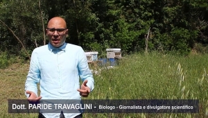 Notevole successo per il video "Api, Ambiente, Alimentazione" promosso dal professor Alberto Felici