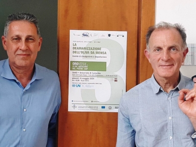 UNICAM ed ONU insieme per la sostenibilità della filiera olivicola del Piceno