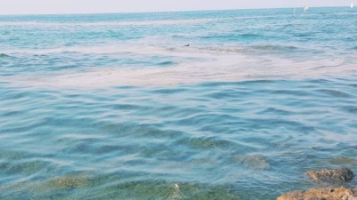 Scatta l'allarme mucillagine a San Benedetto per la pesca