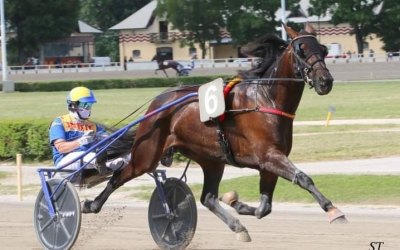 Serata di solidarietà e passione ippica all’ippodromo “San Paolo” di Montegiorgio