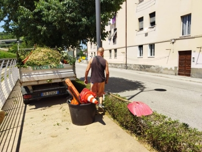 Detenuti impiegati nella cura del verde pubblico