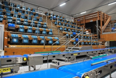 Domenica 7 dicembre si celebrano i 90 anni del Mercato Ittico all’Ingrosso