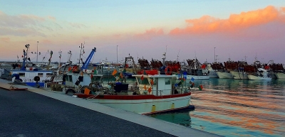 Spazzafumo incontra in Ancona i vertici dell’Autorità di Sistema Portuale