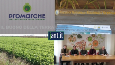 Presentato a San Benedetto del Tronto il progetto " DAL SEME AL PIATTO"