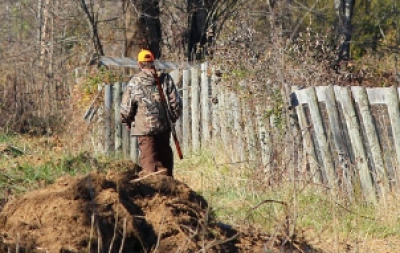 RIPRENDE LA CACCIA A BECCACCIA E TURDIDI GRAZIE ALL’ORDINANZA DEL CONSIGLIO DI STATO