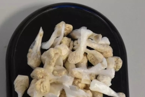 Dosi di cocaina e eroina nascoste nella fioriera, sequestrate