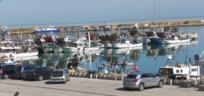 PORTI PROTAGONISTI DELLA MACROREGIONE ADRIATICO-IONICA: SINERGIE E SVILUPPO PER UNA TRANSIZIONE ECOLOGICA EFFICACE. EVENTO DOMANI AD ANCONA