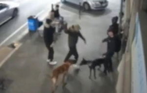 Rapine a mano armata con cani da combattimento e machete, quattro gli arresti