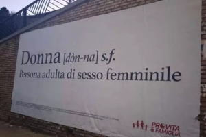 Via alle affissioni di Provita, 'donna &egrave; persona di sesso femminile'