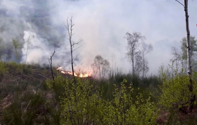 Vasto incendio nel Teramano, in azione anche un Canadair