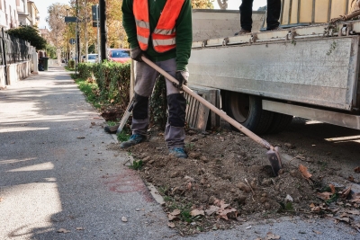 Al via gli interventi di sostituzione delle alberature in città Il sindaco Fioravanti e l'assessore Cardinelli: 