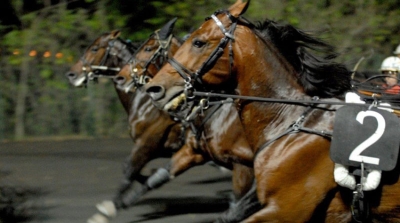 Fermo sotto le stelle, l’omaggio alla città del Girfalco dell'ippodromo “San Paolo”