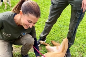 Cani e gatti aspettano una famiglia, a Fermo "Adotta...mi"