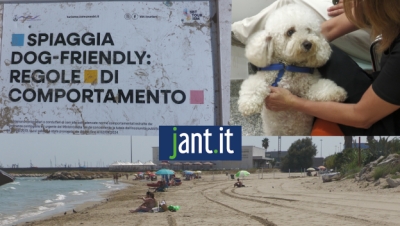 San Benedetto del Tronto si dota di una spiaggia Dog-Friendly
