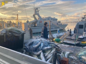 Pescatori di frodo, Finanza sequestra 300 chili di prodotto ittico