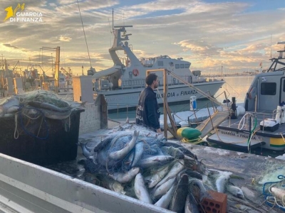 Pescatori di frodo, Finanza sequestra 300 chili di prodotto ittico