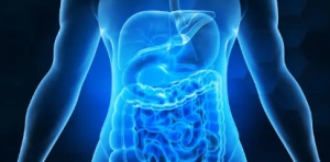 MALATTIE DELL&rsquo;APPARATO DIGERENTE: LA MARCHE ISTITUISCONO LA RETE CLINICA GASTROENTEROLOGICA