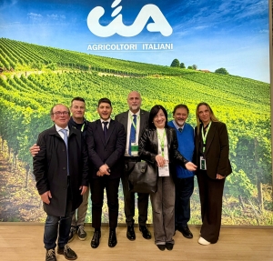 Tutti uniti per le Marche