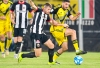 Ascoli Calcio - Il Picchio batte il Pisa ma non basta: &egrave; retrocessione in Serie C