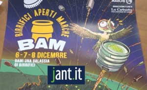 Presentata l'edizione 2024 della BAM