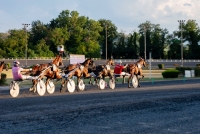 In arrivo otto corse al trotto all&rsquo;ippodromo &ldquo;San Paolo&rdquo; di Montegiorgio