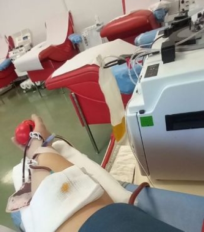 VICENDA PLASMA, LA REGIONE ATTIVA UNA COMMISSIONE DI VERIFICA