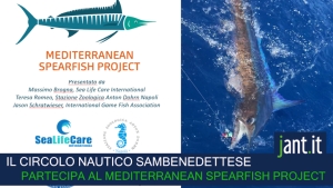 INTERVISTA AL CONSIGLIERE DEL CIRCOLO NAUTICO SAMBENEDETTESE GIACOMO FORTI