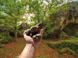 Roccafluvione - Il paese piceno tra i borghi delle Marche che valorizzano il tartufo