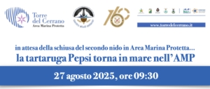 Tra pochi giorni la liberazione della tartaruga marina a Torre del Cerrano
