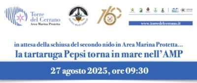 Tra pochi giorni la liberazione della tartaruga marina a Torre del Cerrano
