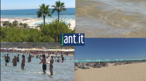 Intervista al Presidente Assoalbergatori Riviera delle Palme